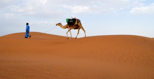 Maroc désert . Avril 25. date à Définir